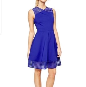 Ted Baker royal blue dress Size 00